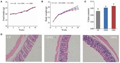 Frontiers | Dietary Oxidized Beef Protein Alters Gut Microbiota And ...